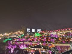 -枇杷园食为鲜火锅(南山店)