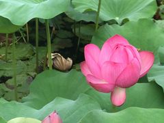 -龚家花园农家乐休闲别墅