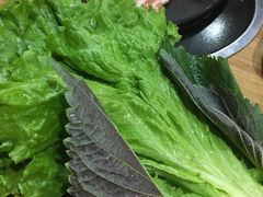 -小米烤肉·和牛原切-创意韩料(东关店)