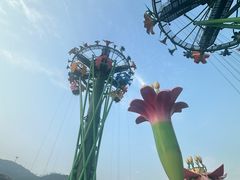 -珠海长隆海洋王国
