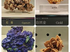 -中国地质博物馆