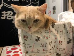 -小时光咖啡馆(开森度假森林店)