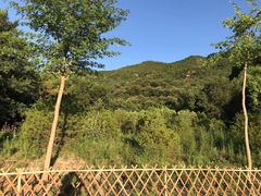 -北京西山国家森林公园