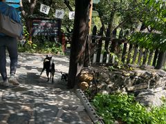 -北京水岸山吧度假村(雁栖镇店)
