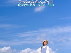 -荷兰花海