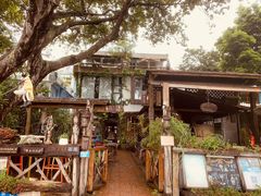 -城墙外BAR