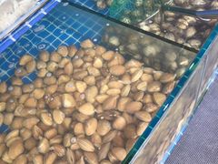 -蟹谢蒸鲜自助餐厅