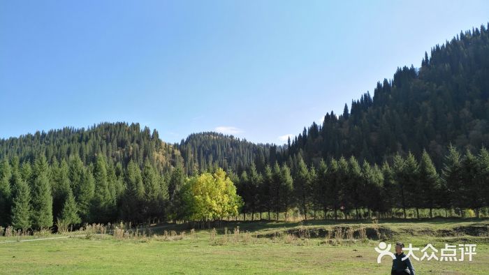 那拉提旅游风景区-景点图片-新源县景点/周边游-大众点评网