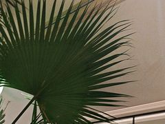 -金谷仓家庭料理(马泉营店)