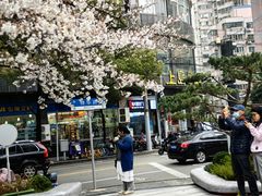 -玛格萝妮比萨屋(四平店)