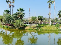 -枫香湖儿童公园