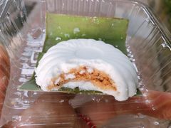 -金珠肉粽