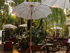 -Fern Forest Cafe