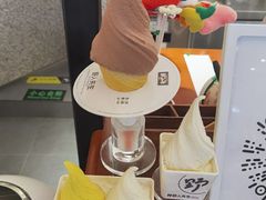 -野人先生Gelato(上海长宁龙之梦店)
