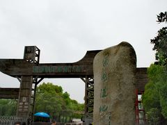 -溱湖国家湿地公园