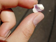 -玫瑰苑烧腊饭店