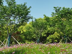 -东方绿舟景区