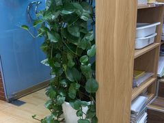 -I-Shine英语国际教育(大三林中心)