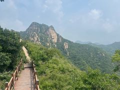 -大岭沟猕猴桃谷风景区