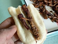 -蒙阴县光棍鸡店(蒙山店)