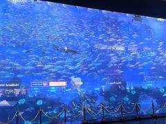 -成都浩海立方海洋公园