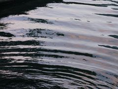 -原乡芦茨咖啡