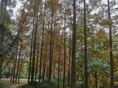 -苏州河梦清园环保主题公园