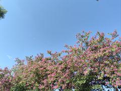 -南宁南湖公园