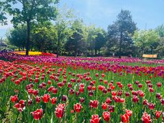 -长春公园(普阳街道)