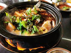 -老杨砂锅鱼庄