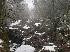 -龙苍沟森林公园