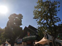 -苏州乐园森林水世界