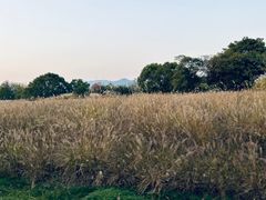 -良渚古城遗址公园