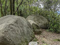 -火炉山森林公园