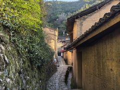 -杨家堂村