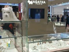 -凯德MALL(望京店)