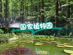 -国家植物园