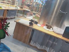 -狗道宠物(常熟印象城店)