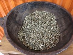 -巴厘岛黄金金兔咖啡工厂