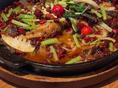 -老板恋上鱼(恒隆广场店)