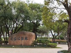-顺峰山公园