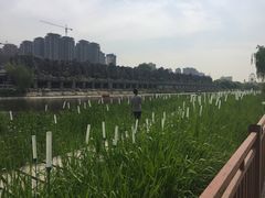 -西安汉城湖景区