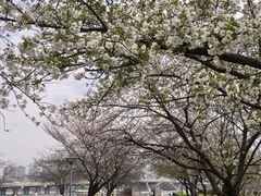 -蠡湖大桥公园