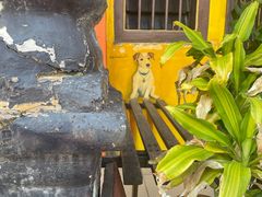 -槟城街头艺术街区