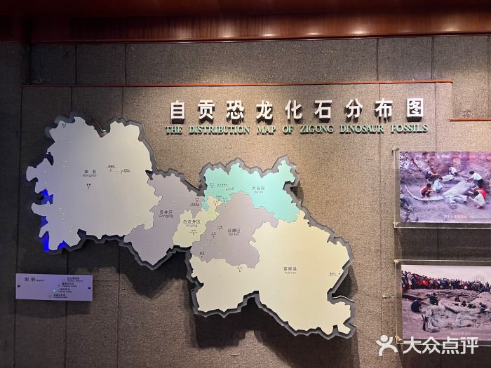 自贡恐龙博物馆图片