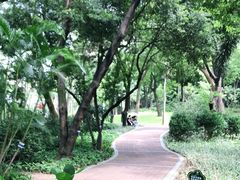 -云溪植物园