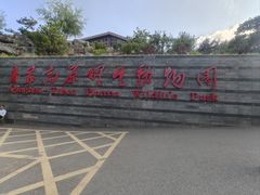 -青藏高原野生动物园