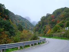 -秦岭风景区