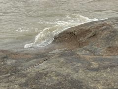-海沧湾公园