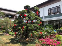 -聚福宝合苑食府(南头镇店)